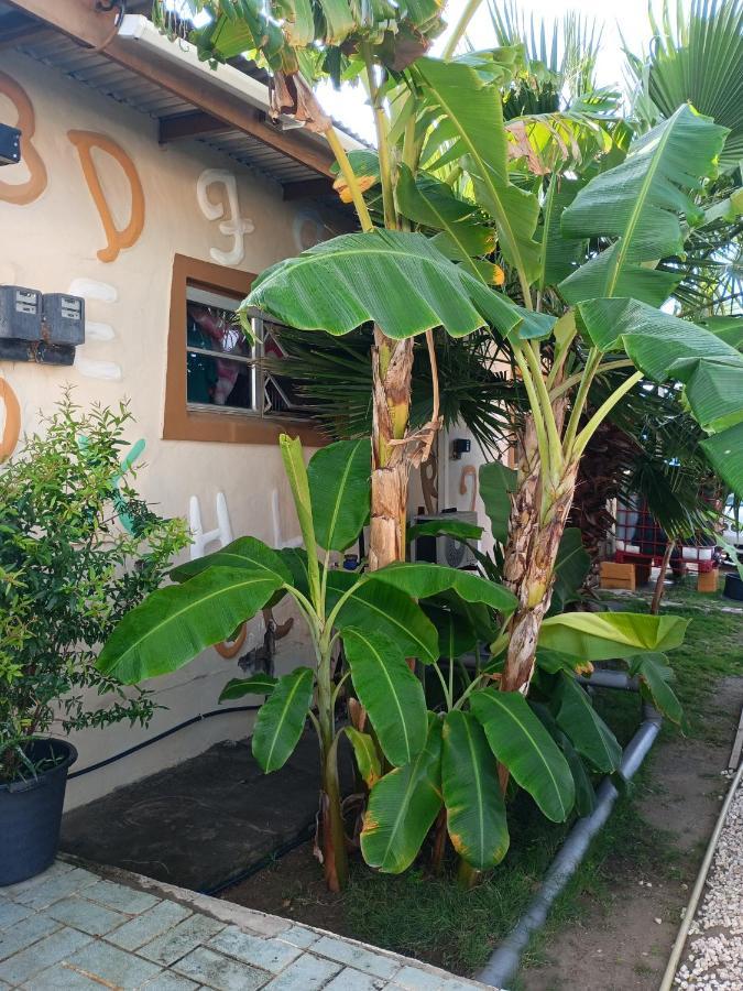 Aruba Backpackers Oranjestad Exterior foto