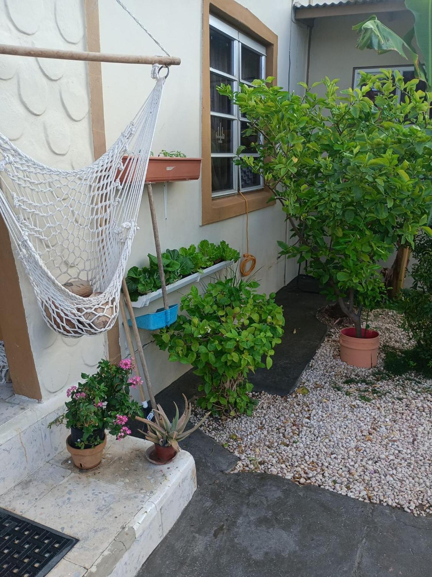 Aruba Backpackers Oranjestad Exterior foto